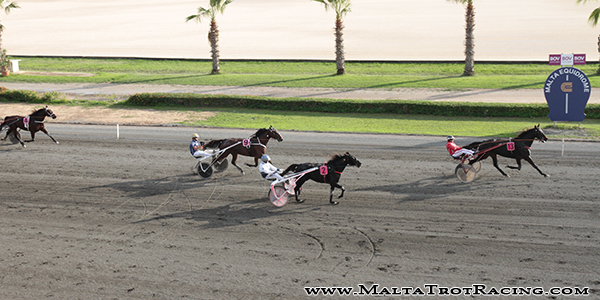 Race 5 confirmed result