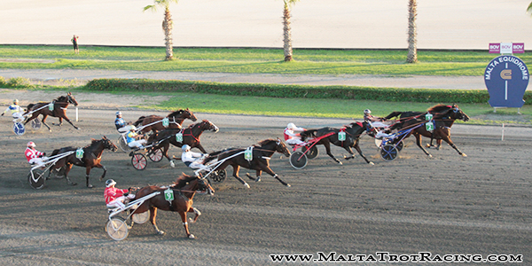 Race 7 confirmed result