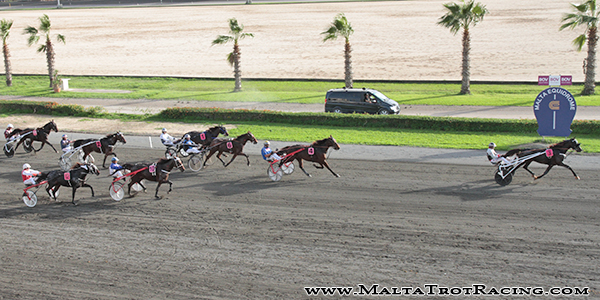 Race 5 confirmed result