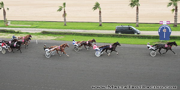 Race 5 confirmed result
