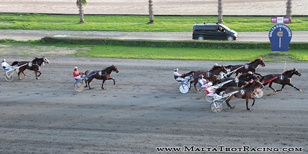 Race 7 confirmed result