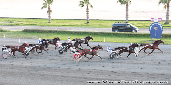 Race 7 confirmed result