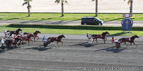 Race 5 confirmed result