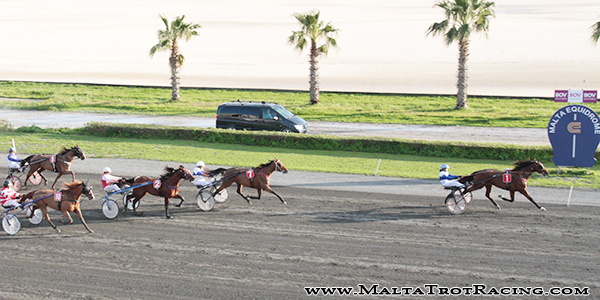 Race 8 confirmed result