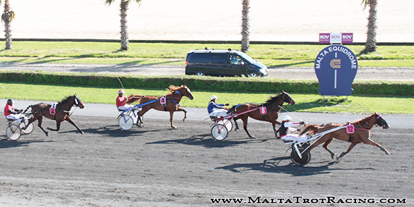 Race 5 confirmed result