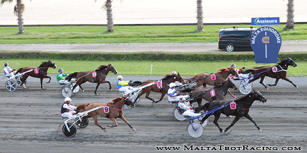 Race 5 confirmed result