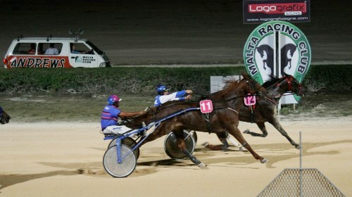 Race 5 confirmed result