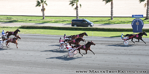 Race 5 confirmed result