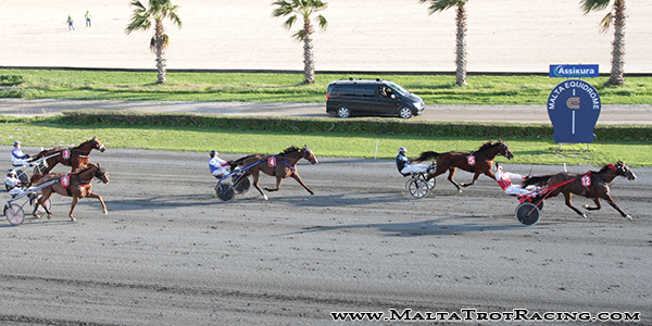 Race 8 confirmed result