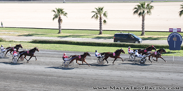 Race 5 confirmed result