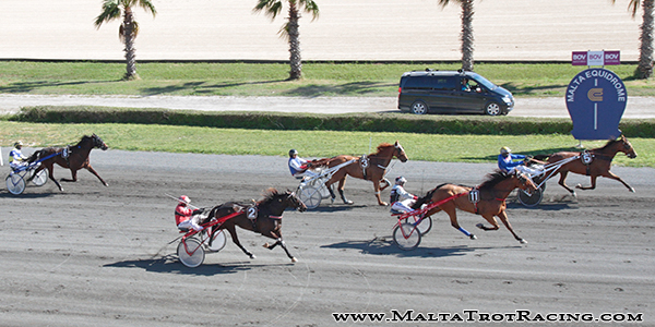 Race 7 confirmed result