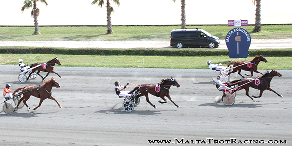 Race 5 confirmed result