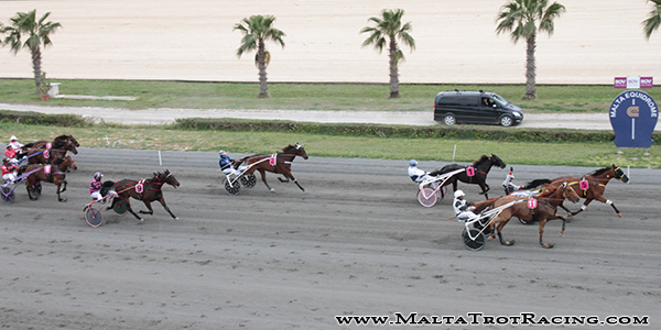 Race 5 confirmed result