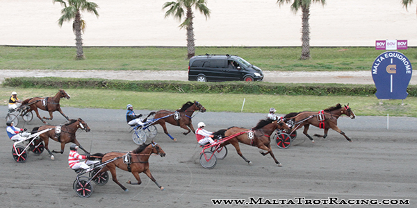 Race 7 confirmed result