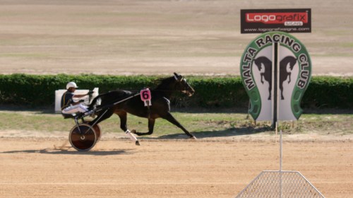 Race 5 confirmed result