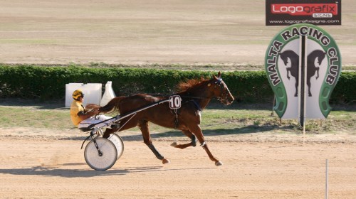 Race 7 confirmed result