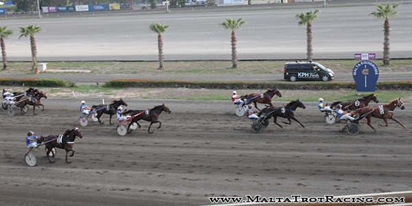 Race 7 confirmed result
