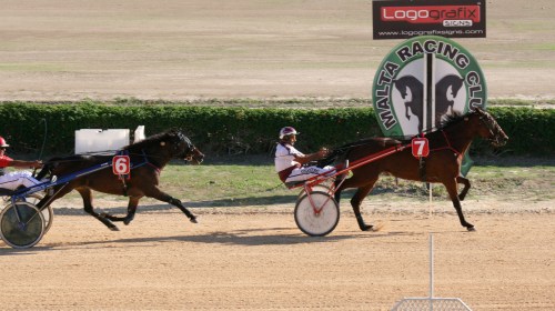 Race 8 confirmed result