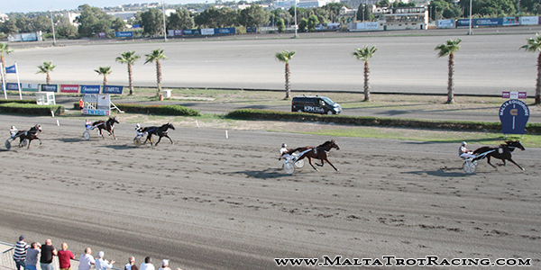 Race 7 confirmed result