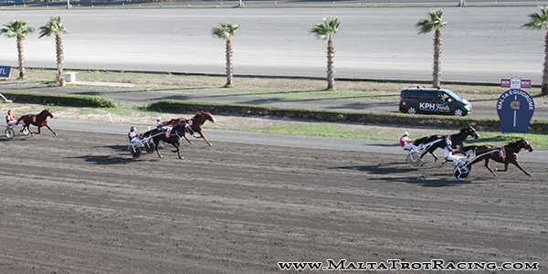 Race 8 confirmed result