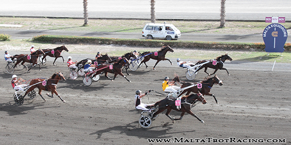 Race 5 confirmed result