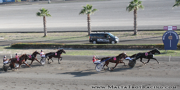 Race 5 confirmed result