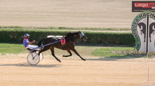 Race 5 confirmed result