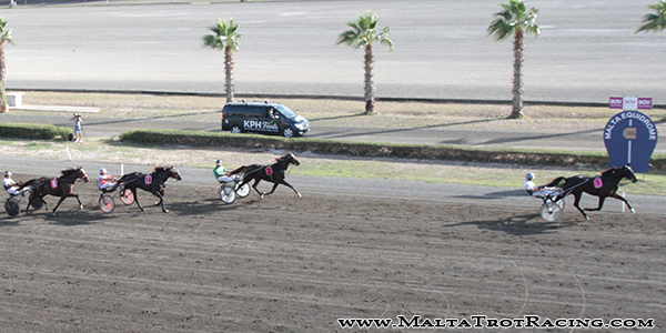 Race 5 confirmed result