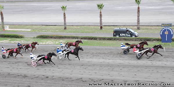 Race 5 confirmed result