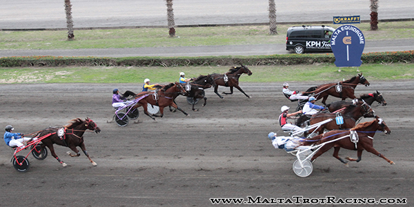 Race 7 confirmed result