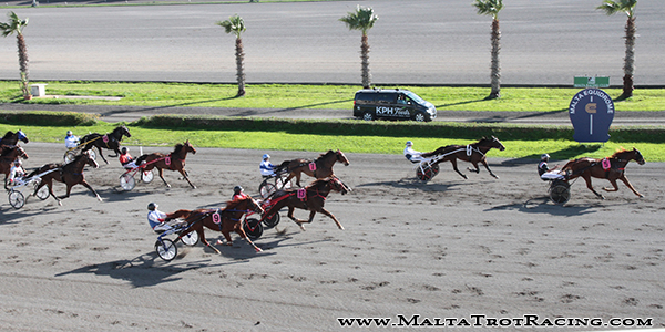 Race 5 confirmed result