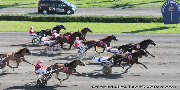 Race 5 confirmed result
