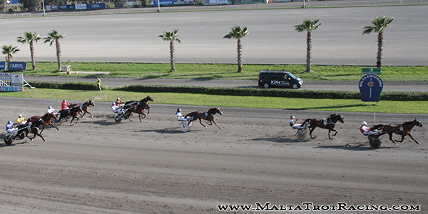 Race 7 confirmed result