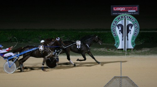 Race 7 confirmed result