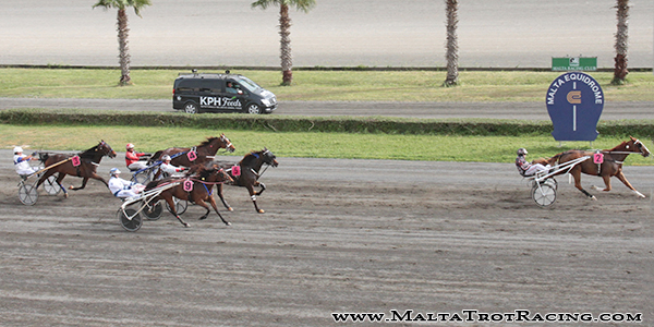 Race 5 confirmed result