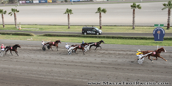 Race 8 confirmed result
