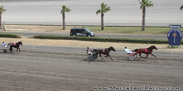 Race 5 confirmed result