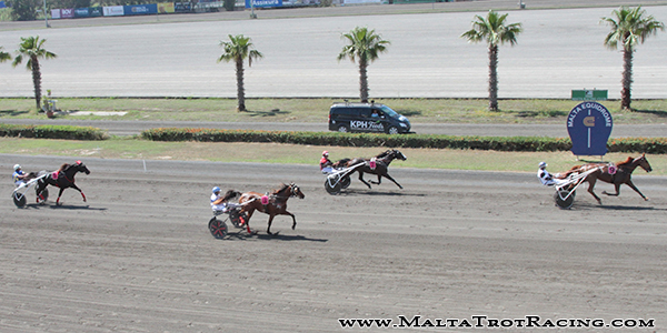 Race 5 confirmed result