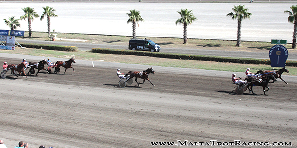 Race 7 confirmed result