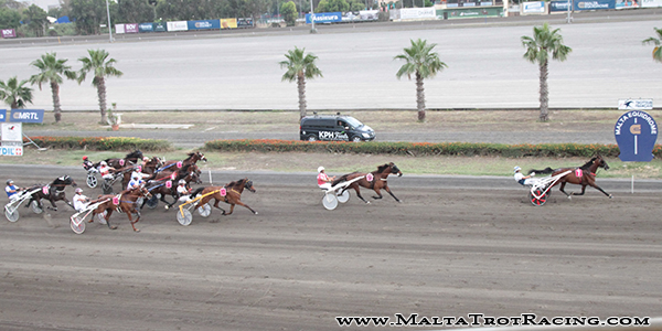 Race 5 confirmed result