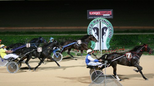 Race 7 confirmed result
