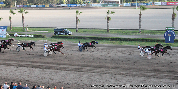 Race 5 confirmed result