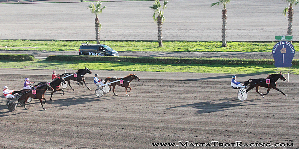 Race 5 confirmed result
