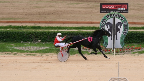 Race 5 confirmed result