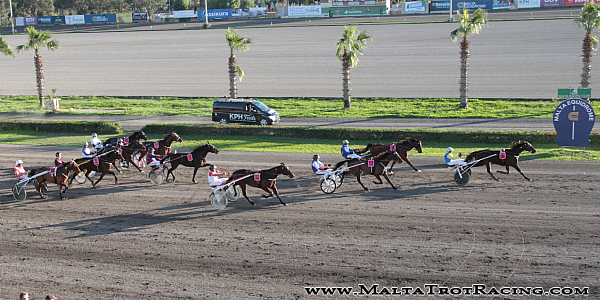 Race 5 confirmed result