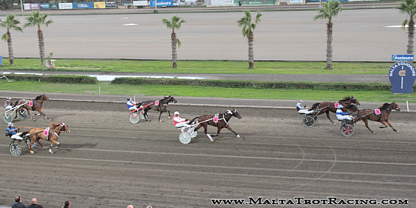 Race 5 confirmed result