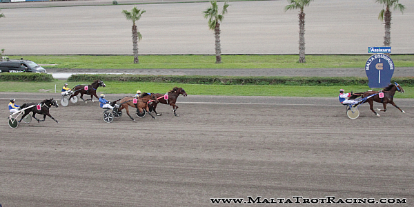 Race 5 confirmed result