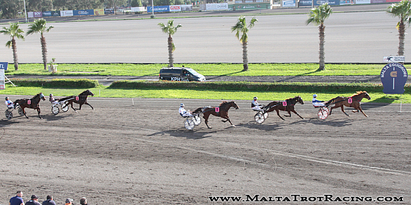 Race 5 confirmed result