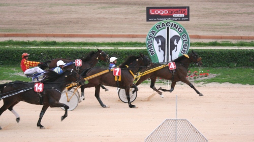 Race 8 confirmed result