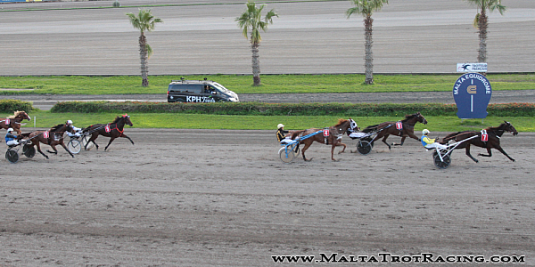 Race 8 confirmed result